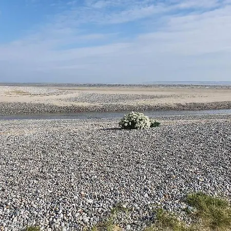Baie De Somme Кайё-сюр-Мер