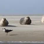 Baie De Somme