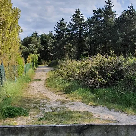 Baie De Somme カイユー・シュル・メール