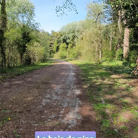 Baie De Somme カイユー・シュル・メール